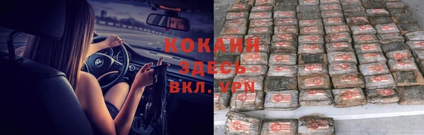 бошки Осинники