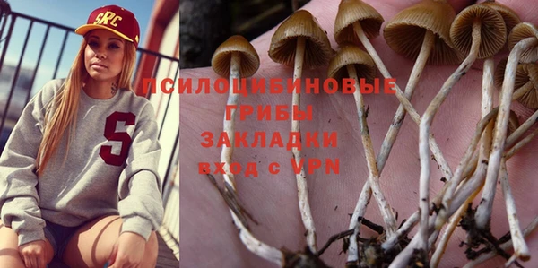 бошки Осинники