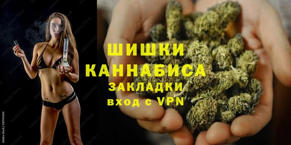 сатива Нязепетровск