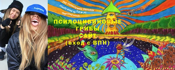 сатива Нязепетровск