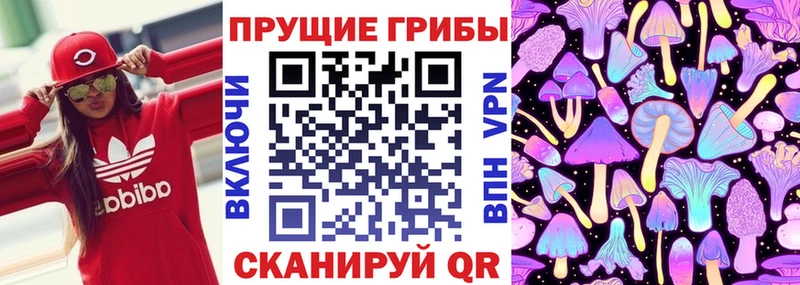 наркошоп площадка состав Галлюциногенные грибы Magic Shrooms Тара