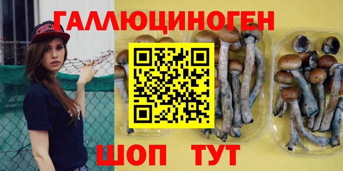 Псилоцибиновые грибы ЛСД Тара