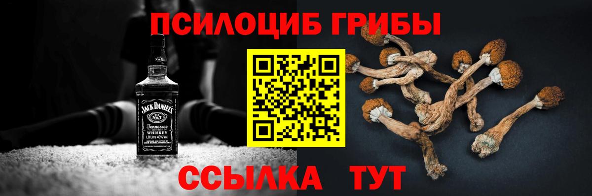Псилоцибиновые грибы Cubensis  Вход с VPN  Тара  Галлюциногенные грибы прущие грибы 