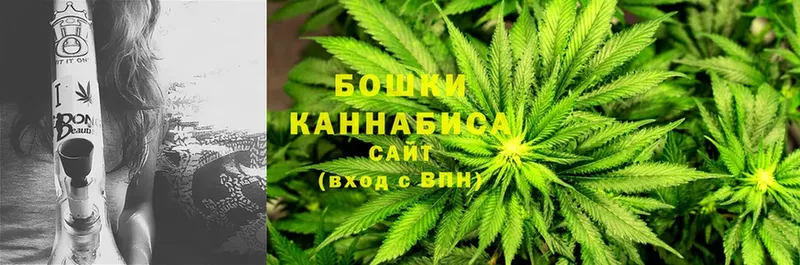 kraken как зайти  Тара  Каннабис Ganja  цены  